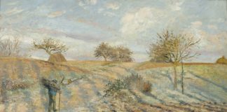 The Perennial Student