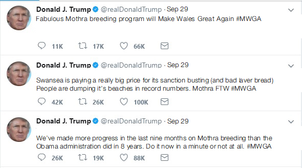 Trump twitter copy