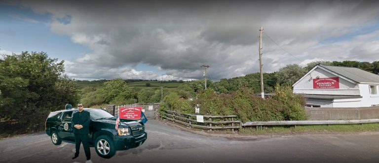 Trump’s Emotional Support Wig Enters Rehab in Wales